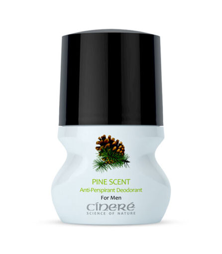 pine scent رایحه کاج