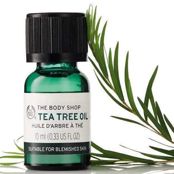 قطره روغن درخت چای تی تری مناسب پوست چرب و جوشدار بادی شاپ