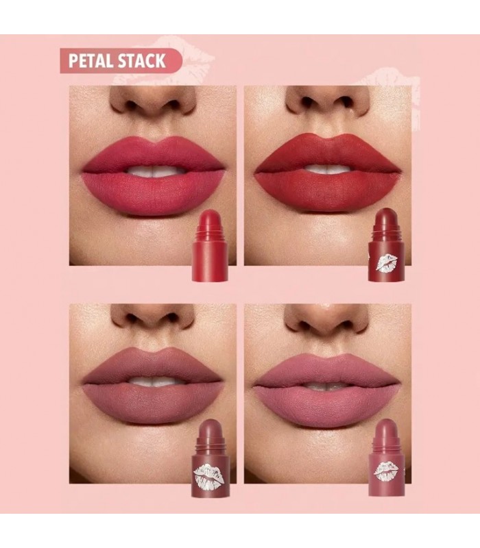 رژ لب 4 در 1 Mega lip شیگلم